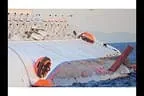 Costa Concordia - Schiffsunglück Bild 18
