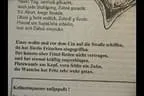 Hopfgartner Fasching - Anno 19.. Bild 19