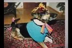 Hopfgartner Fasching - Anno 19.. Bild 53