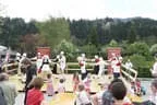 Maitanz 2012 Bild 16