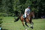 Tiroler Meisterschaft - Vielseitigkeit - Reiten Bild 11