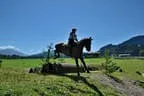 Tiroler Meisterschaft - Vielseitigkeit - Reiten Bild 15