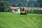 Tiroler Meisterschaft - Vielseitigkeit - Reiten Bild 26