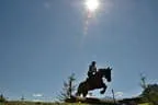 Tiroler Meisterschaft - Vielseitigkeit - Reiten Bild 37