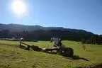 Tiroler Meisterschaft - Vielseitigkeit - Reiten Bild 52