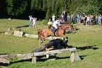 Tiroler Meisterschaft - Vielseitigkeit - Reiten Bild 55