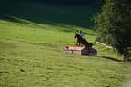 Tiroler Meisterschaft - Vielseitigkeit - Reiten Bild 56