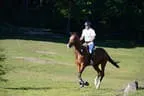 Tiroler Meisterschaft - Vielseitigkeit - Reiten Bild 57