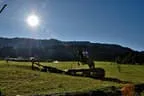 Tiroler Meisterschaft - Vielseitigkeit - Reiten Bild 60