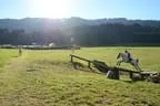 Tiroler Meisterschaft - Vielseitigkeit - Reiten Bild 65