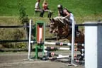 Tiroler Meisterschaft - Vielseitigkeit - Reiten Bild 75