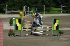 Tiroler Meisterschaft - Vielseitigkeit - Reiten Bild 77