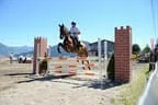 Tiroler Meisterschaft - Vielseitigkeit - Reiten Bild 82