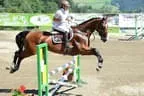 Tiroler Meisterschaft - Vielseitigkeit - Reiten Bild 83