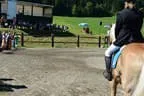 Tiroler Meisterschaft - Vielseitigkeit - Reiten Bild 87