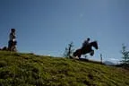Tiroler Meisterschaft - Vielseitigkeit - Reiten Bild 81