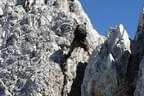 Klettersteig Königsjodler Bild 60