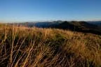 Herbstimpressionen Feldalphorn Bild 3