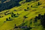 Herbstimpressionen Feldalphorn Bild 81