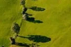 Herbstimpressionen Feldalphorn Bild 85