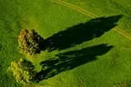 Herbstimpressionen Feldalphorn Bild 87
