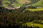 Herbstimpressionen Feldalphorn Bild 94