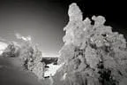 Winter Impressionen Bild 33