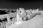 Winter Impressionen Bild 31