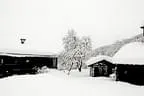 Winter Impressionen Bild 19