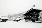 Winter Impressionen Bild 18