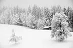 Winter Impressionen Bild 16