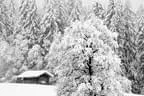 Winter Impressionen Bild 15