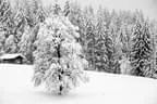 Winter Impressionen Bild 14