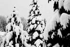 Winter Impressionen Bild 13