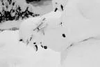 Winter Impressionen Bild 12
