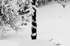 Winter Impressionen Bild 11