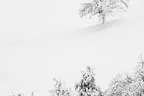 Winter Impressionen Bild 10