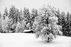 Winter Impressionen Bild 8