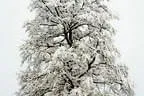 Winter Impressionen Bild 7