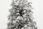 Winter Impressionen Bild 6
