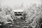 Winter Impressionen Bild 4