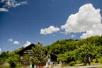 Sommer Impressionen Bild 3